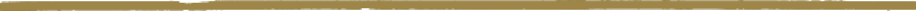 MainEvent_horizontal_line1.png