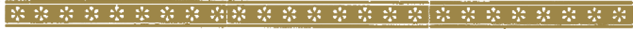 Silkscreen_footer_flourish.png