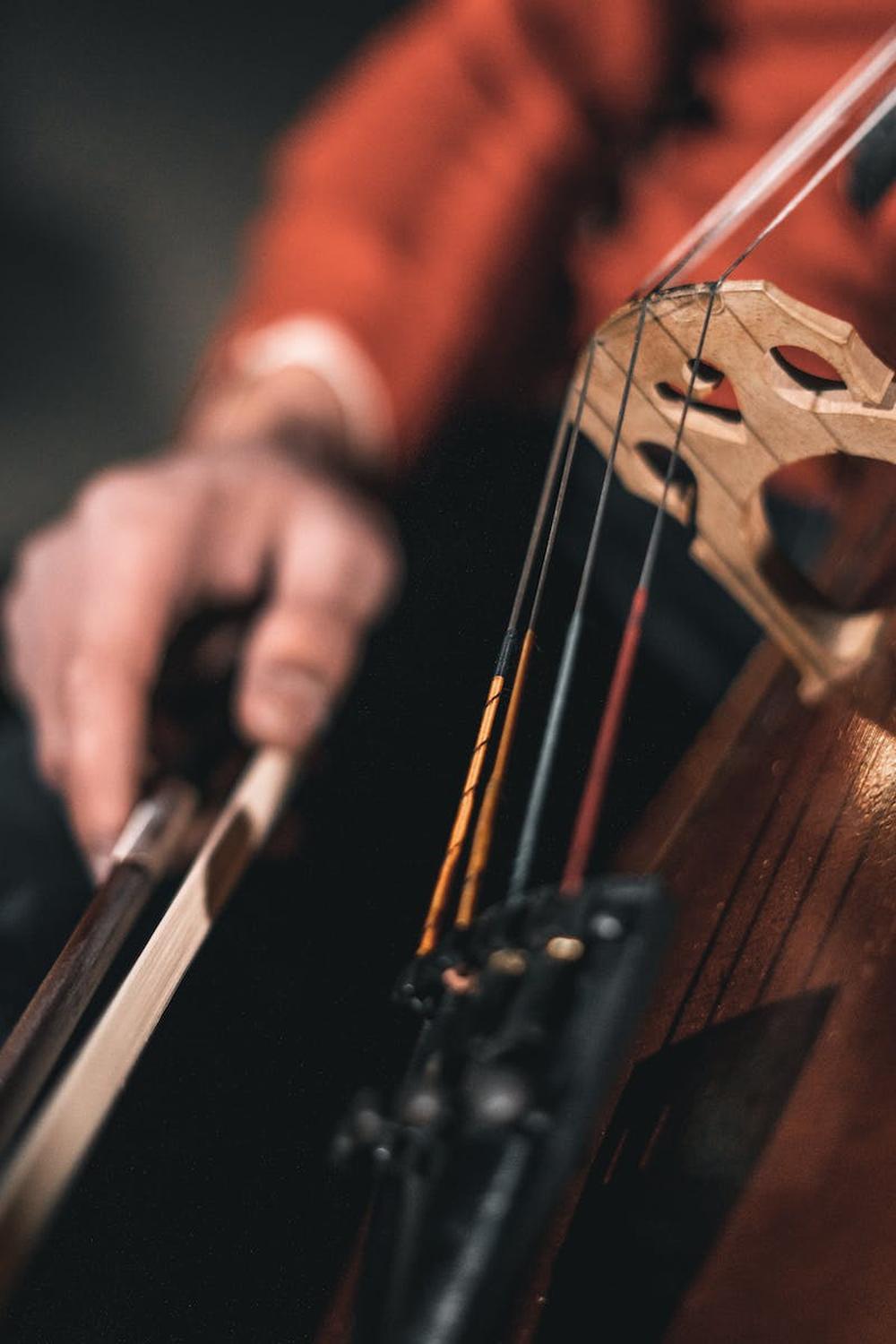 person_playing_stringed_instrument